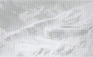 Encyclopedia of Moonlight/Lostroom moonlightlr_security-organization-for-the-preservation-of-humanity-chaldea.png